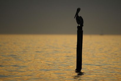 article image - 